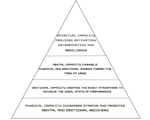 Focus and goals: the relationship between emotions and performance ...